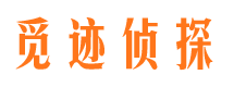 陵县外遇出轨调查取证